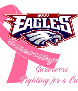 Breast Cancer Awareness Shirt – Fight Like a Champion – NFEI – NORTH  FLORIDA EDUCATIONAL INSTITUTE